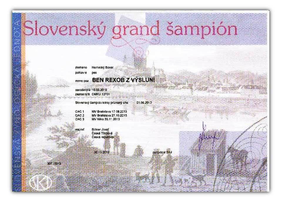 SK Grand šamp2013