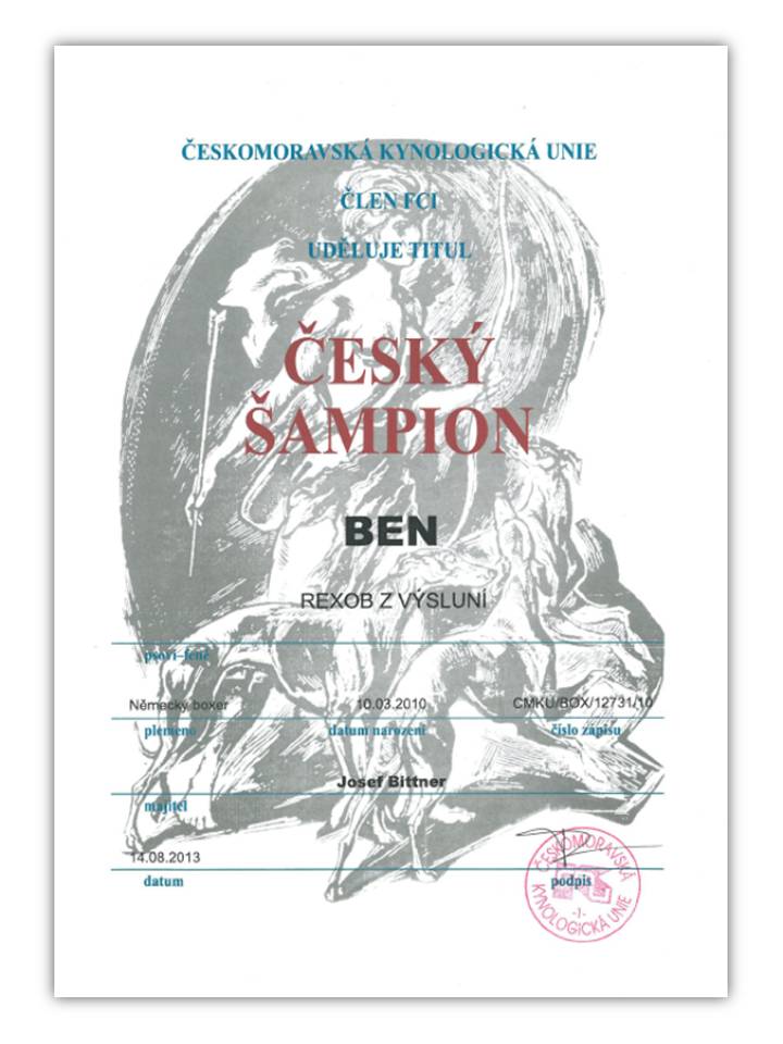 CZ šamp2013Ben