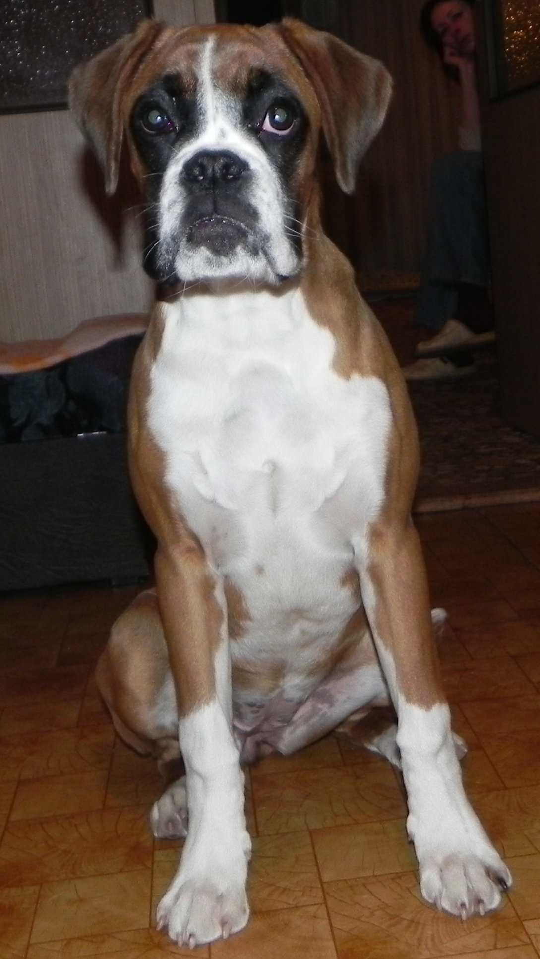 Daisy7