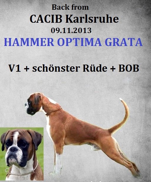 Hammer Optima Grata t