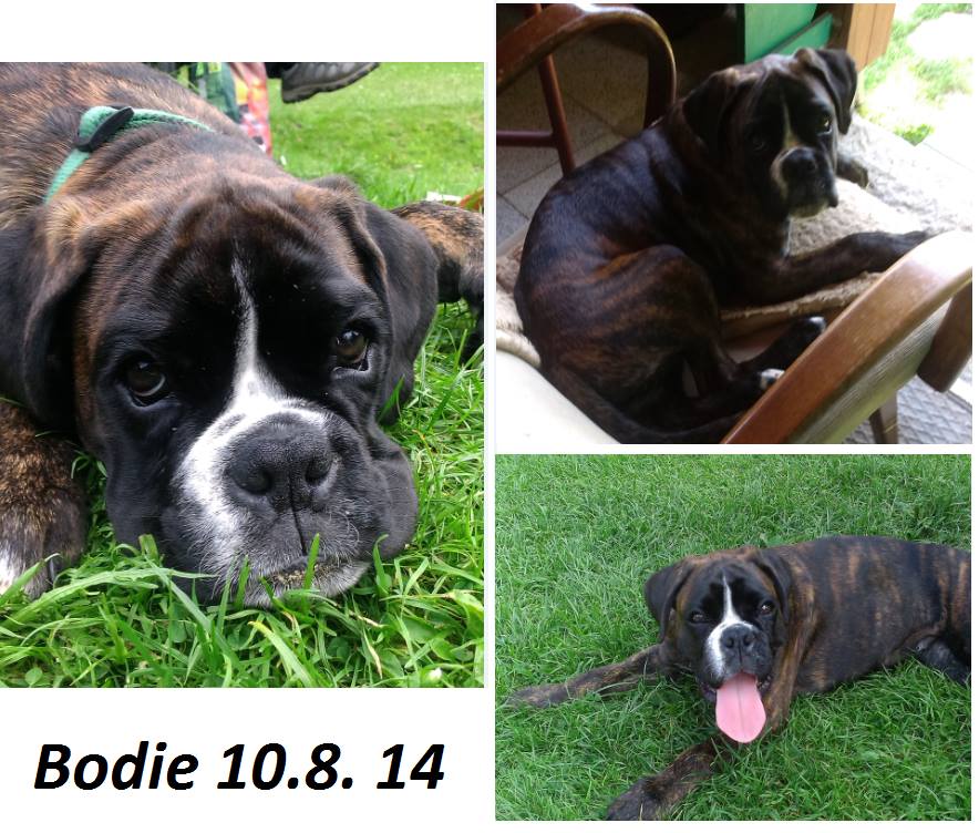 Enrico al.Bodie 10_8_14