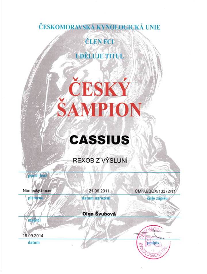 Cassius čz š