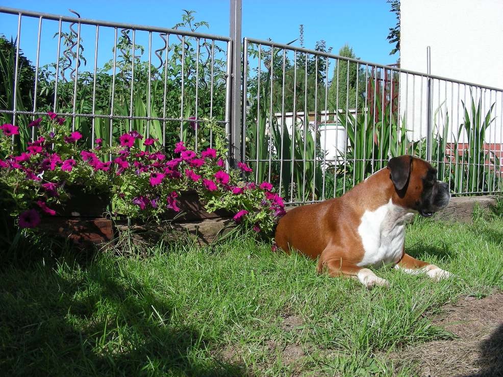 tosca-odpocinek.jpg